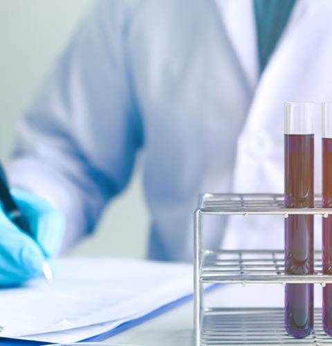 about lavin laboratory